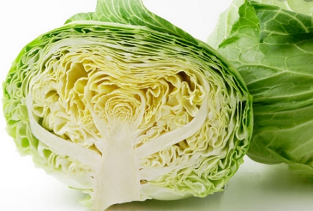 食べても太りにくいキャベツ.jpg